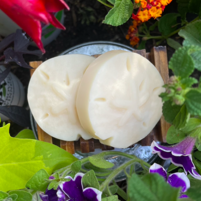 Sand Dollar Soap