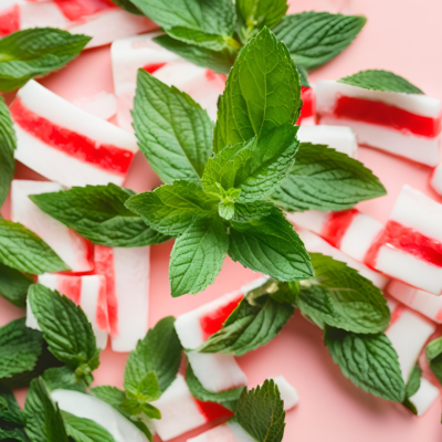 Peppermint Twist Soap