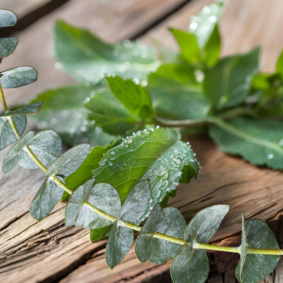 Spearmint Eucalyptus Soap